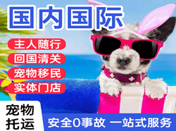 二连浩特赛乌素空运公司国际宠物托运 【国
